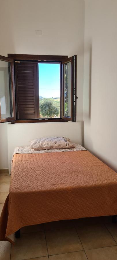 Apartment Andrea San Lorenzo